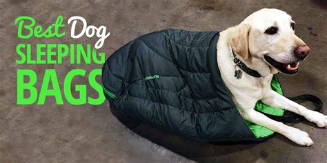 sleeping sack for dogs